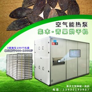 集木青果烘干机 大型橄榄干燥设备 高效节能空气能商用农产品脱水