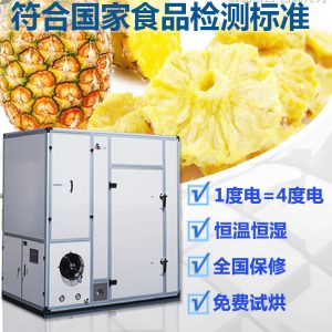 商用小型水果脱水机 菠萝烘干机 节能省电凤梨干燥备一体机