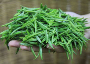 中国饮茶起源 茶叶烘干机助力中国茶业快速发展「集木烘干」